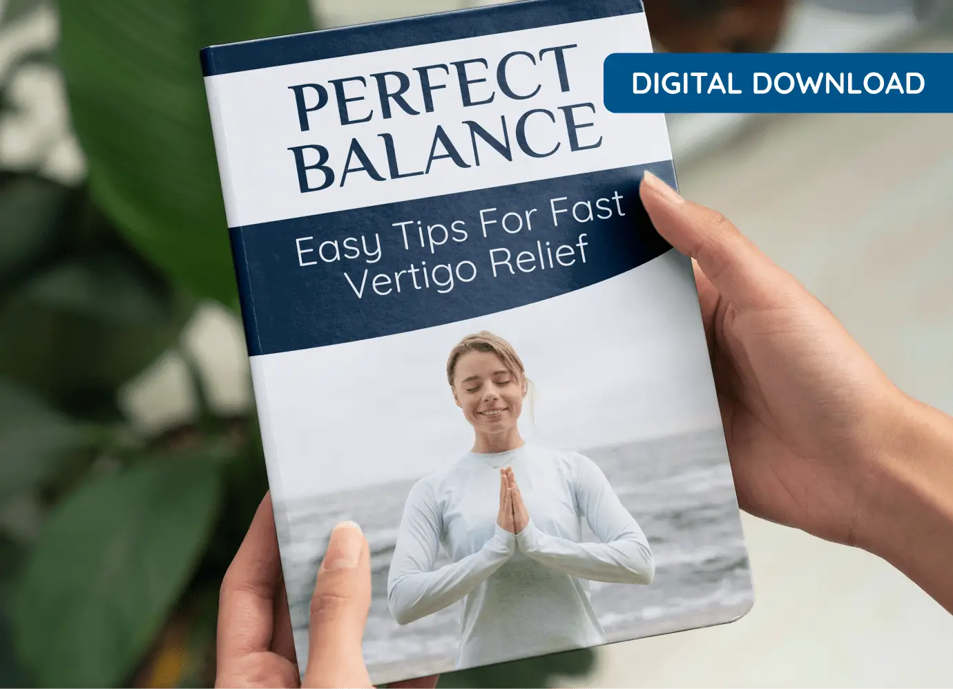 Quietum Plus bonus digital guide three